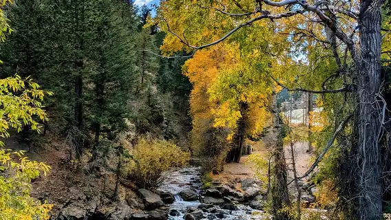Rocky Mountain Escape