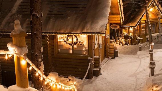 森の妖精のバルコニーや白緋の滝を訪れる、北海道旭山動物園への日帰り旅行。