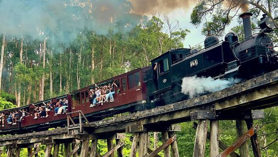 GoWest Tour Melbourne Puffing Billy Railway + Penguin Parade Day Tour