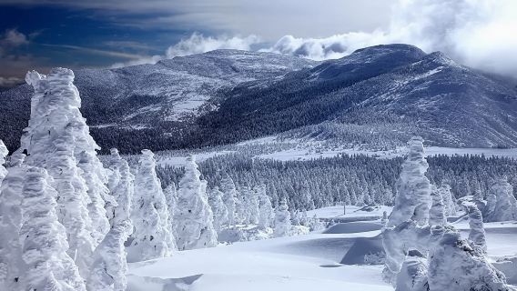 日本仙台|藏王山樹冰奇觀+宮城藏王狐狸村一日|冬季限定包車&
