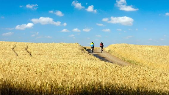 Vanuit Siena: Chianti elektrische fietstocht