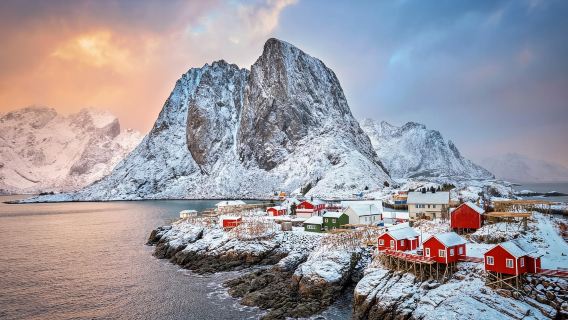 Winter in the North of Lofoten Islands - Half-Day Small Group Tour