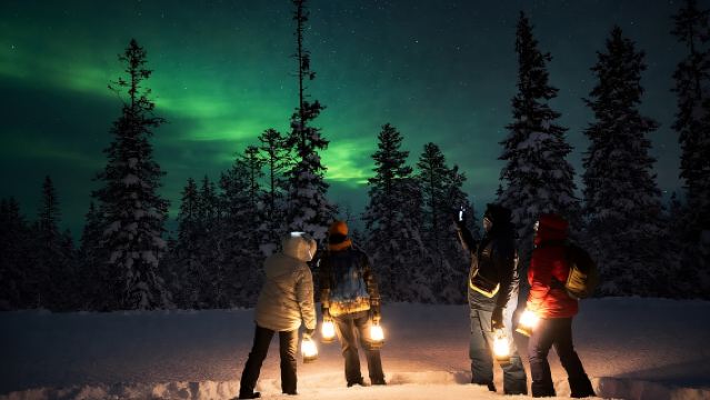 Sälen: Northern Lights Snowshoe Adventure with Pickup