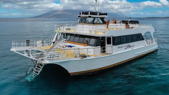 Maui: Molokini and Turtle Town Snorkeling aboard Pride of Maui