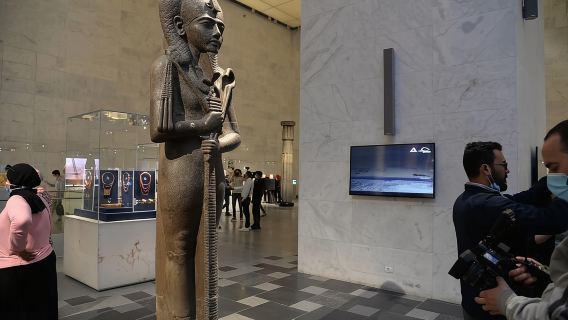 Однодневная экскурсия в Национальный музей египетской цивилизации и катание на фелуке