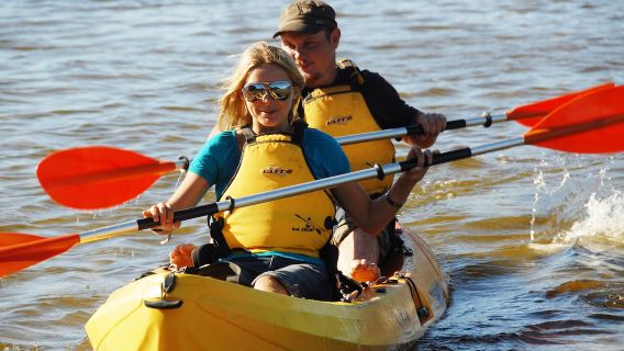 Kangaroo IslandTours
