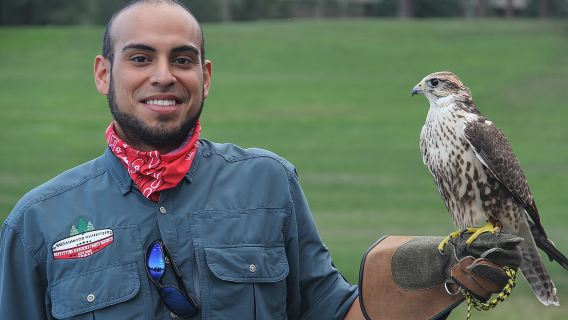 Colorado Springs Hands-On Falconry Class and Demonstration