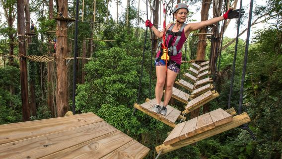 TreeTop Challenge Sunshine Coast: Admission Ticket