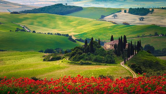 Siena