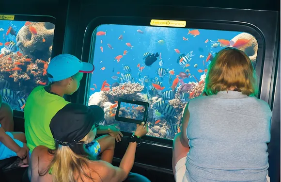 阿萊姆港海底觀光潛艇之旅