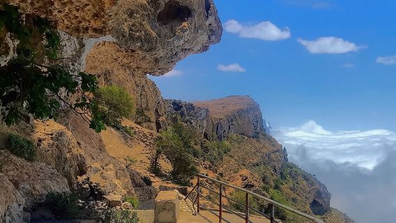Tour di Salalah Est di un giorno intero (tour privato)