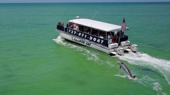 Tour tham quan đảo Egmont Key Island 4 giờ bao gồm ngắm cá heo và lặn biển