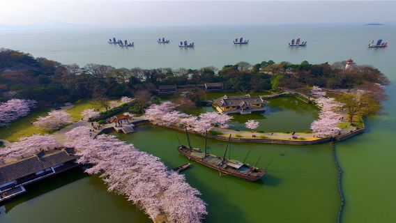 南京出發：無錫太湖黿頭渚+靈山大佛一日遊【獨立包團】