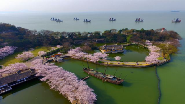 南京出發:無錫太湖黿頭渚+靈山大佛一日遊【私家團】