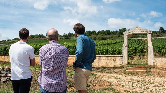 Full day the most of Burgundy with lunch (from Beaune)