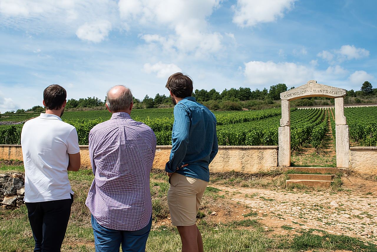 Full day the most of Burgundy with lunch (from Beaune)