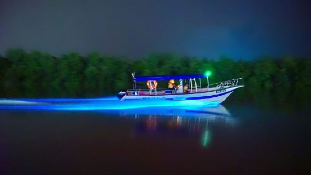 吉隆坡瓜拉雪蘭莪皇家山猴子+老鷹+螢火蟲+藍眼淚半日夜遊