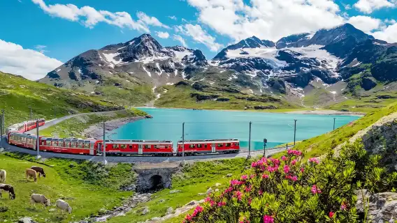 Swiss Travel Pass (GoldenPass Express/Glacier Express + e-ticket/physical ticket + Family Card free + unlimited travel including 90 cities' transportation)