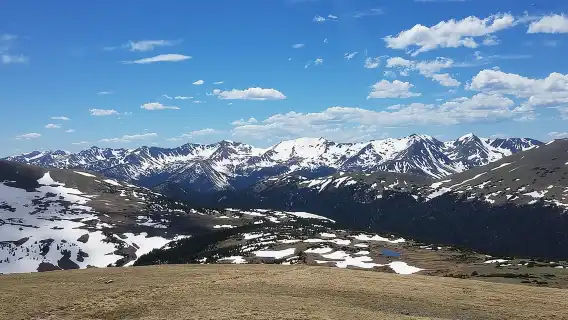 Rocky Mountain National Park in Summer Tour from Denver
