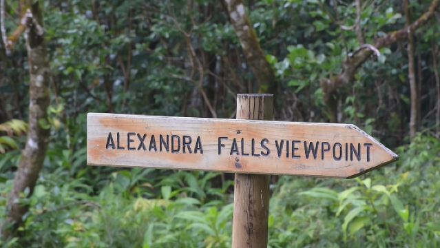 Enchanting South West - Full Day Tour with CASELA Park and Lunch 