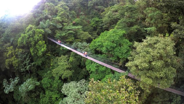 ทัวร์คอมโบน้ำตกลาฟอร์ตูนา สะพานแขวน และภูเขาไฟอาเรนัล