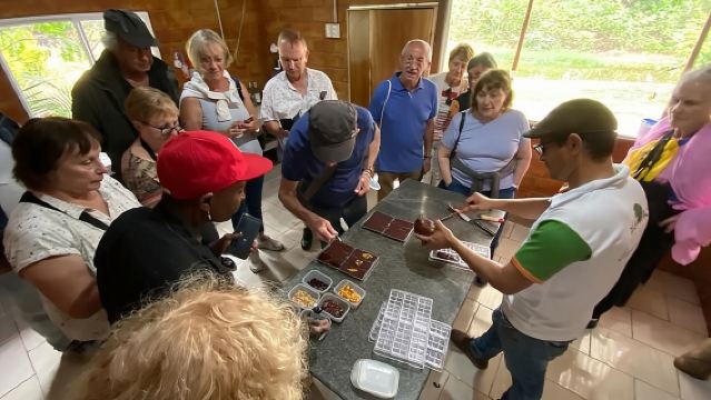 Cocoa and Gastronomy Tour at Hacienda CacaoyMango