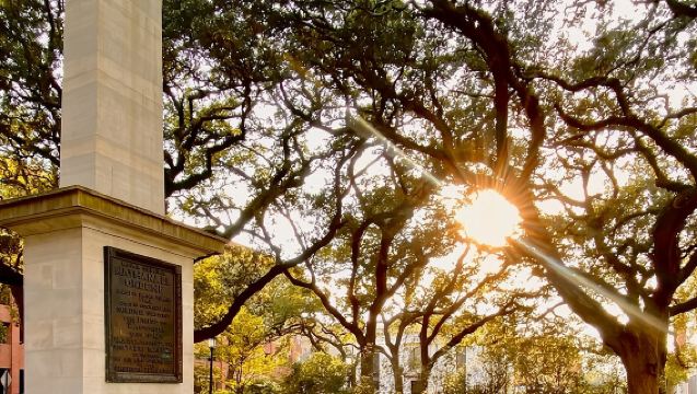 Savannah Historic District Tour by The Wandering Historians