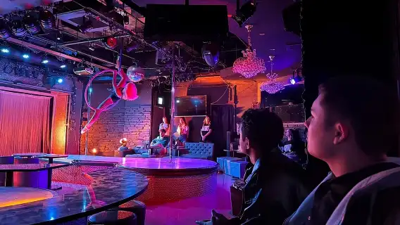 Tokyo · Shinjuku – Explore the Sleepless Nightlife: Bar Hopping in Unique Drinking Districts + Live Performances