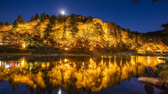 Fall exclusive for 1-person group|Eihouji Temple + Korankei Gorge + Shikizakura 1-day Tour|Nagoya round-trip