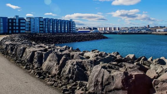 極光維京港熔岩洞文化館包車體驗
