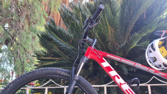 MTB Bike Tour: Tule Tree attraverso la campagna