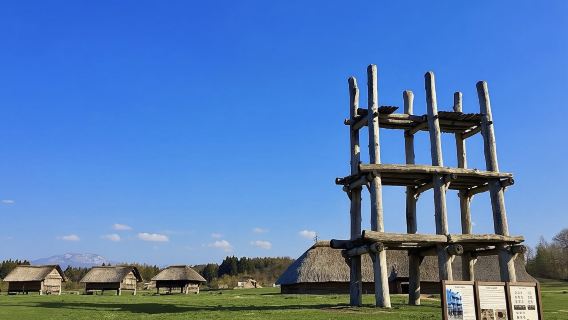 Aomori : visite privée personnalisable avec un guide local