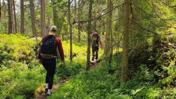 Stockholm : randonnée dans la réserve naturelle avec déjeuner au feu de camp