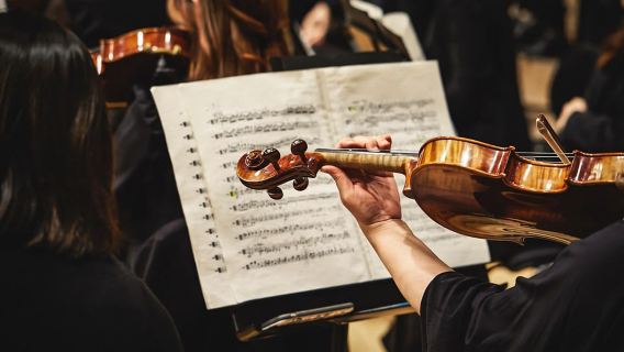 Vienna: Mozart, Beethoven, & Strauss Private Tour