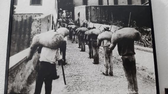 Madeira: Private Weekend Wine Tasting in São Vicente