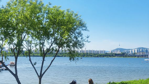 Seoul: Panorama-Tagestour zu den Highlights der Stadt