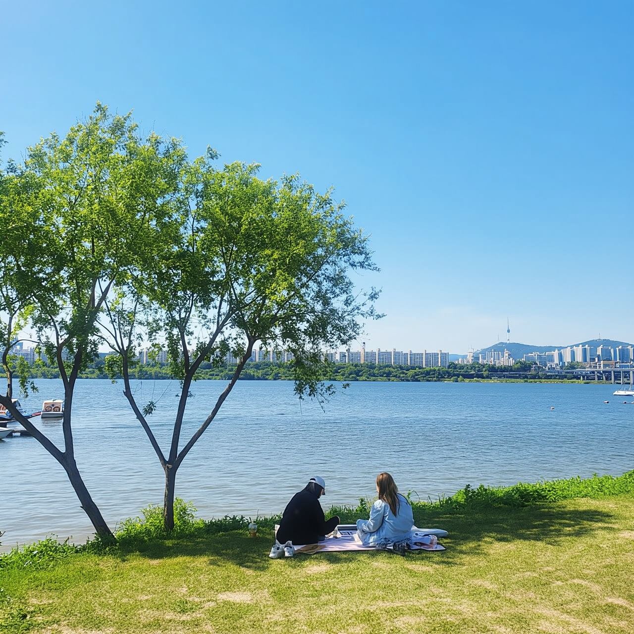 서울: 꼭 가봐야 할 도시 하이라이트 파노라마 일일 투어