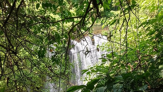 MUNDUK : Jungle Trekking Day Tour