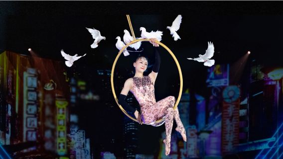 Shanghai Van Gogh Starry Sky Museum + Circus City ERA Acrobatic Show Half-Day Tour [2:00 PM Show]
