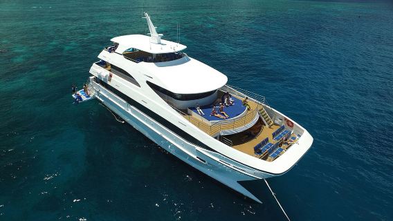 однодневный тур на Большой Барьерный риф из Кэрнса на катамаране "Оспри" с обедом | Evolution