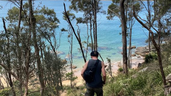 Sydney: Taman Nasional Ku-ring-gai Mendaki dengan berenang dan piknik
