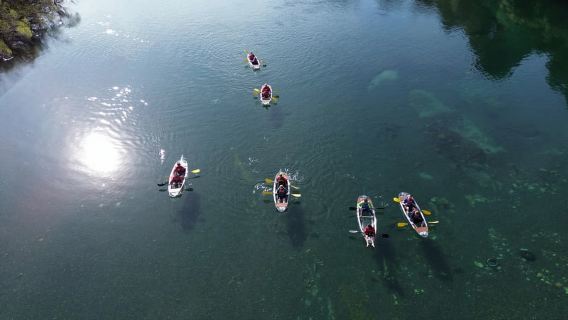 Waikato River Float Tour – Taupō