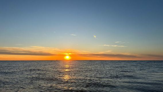 Порту: прогулка на лодке по реке Дору с дегустацией вин (небольшая группа)