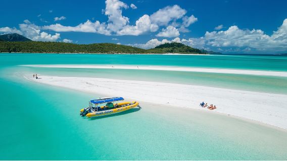 【システム直結 アクティビティ特典】セントラルコースト ホワイトヘブンビーチ ワンデーツアー ハートリーフ ヒル海峡