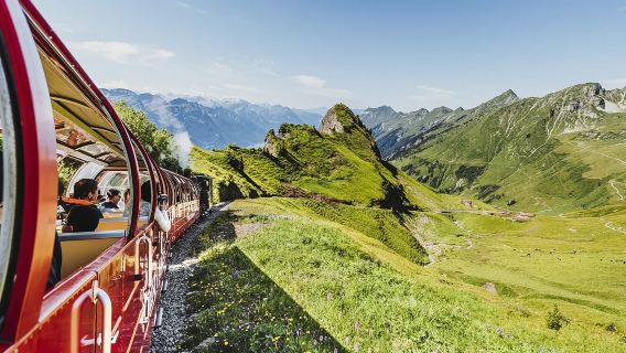 Bernese Oberland Pass