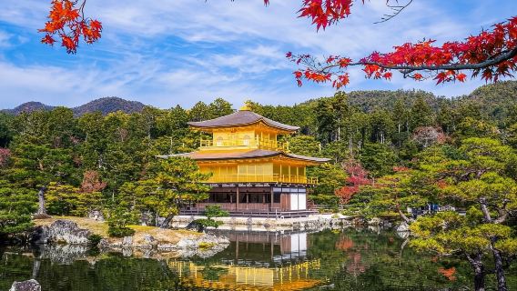 Giappone|Ninenzaka + Statua di Murasaki Shikibu + Via d'accesso al tempio Byodoin + Padiglione d'oro|Itinerario di noleggio con conducente esclusivo personalizzabile
