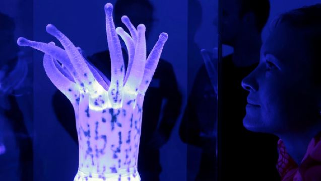 Dresden: Guided City Walk and Panometer Entrance Ticket