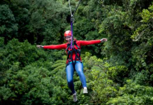 Rotorua Redwoods Treewalk Zipline Adventure in New Zealand's South Island [Free Photography Included | Optional 2.5hr/3hr Packages]