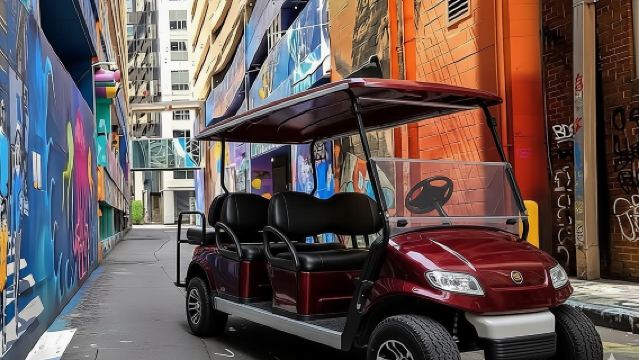 Charlotte's Southern Historical City Sightseeing Cart Tour