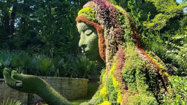 美國亞特蘭大-可樂-水族館-植物園【中文包車自由行】